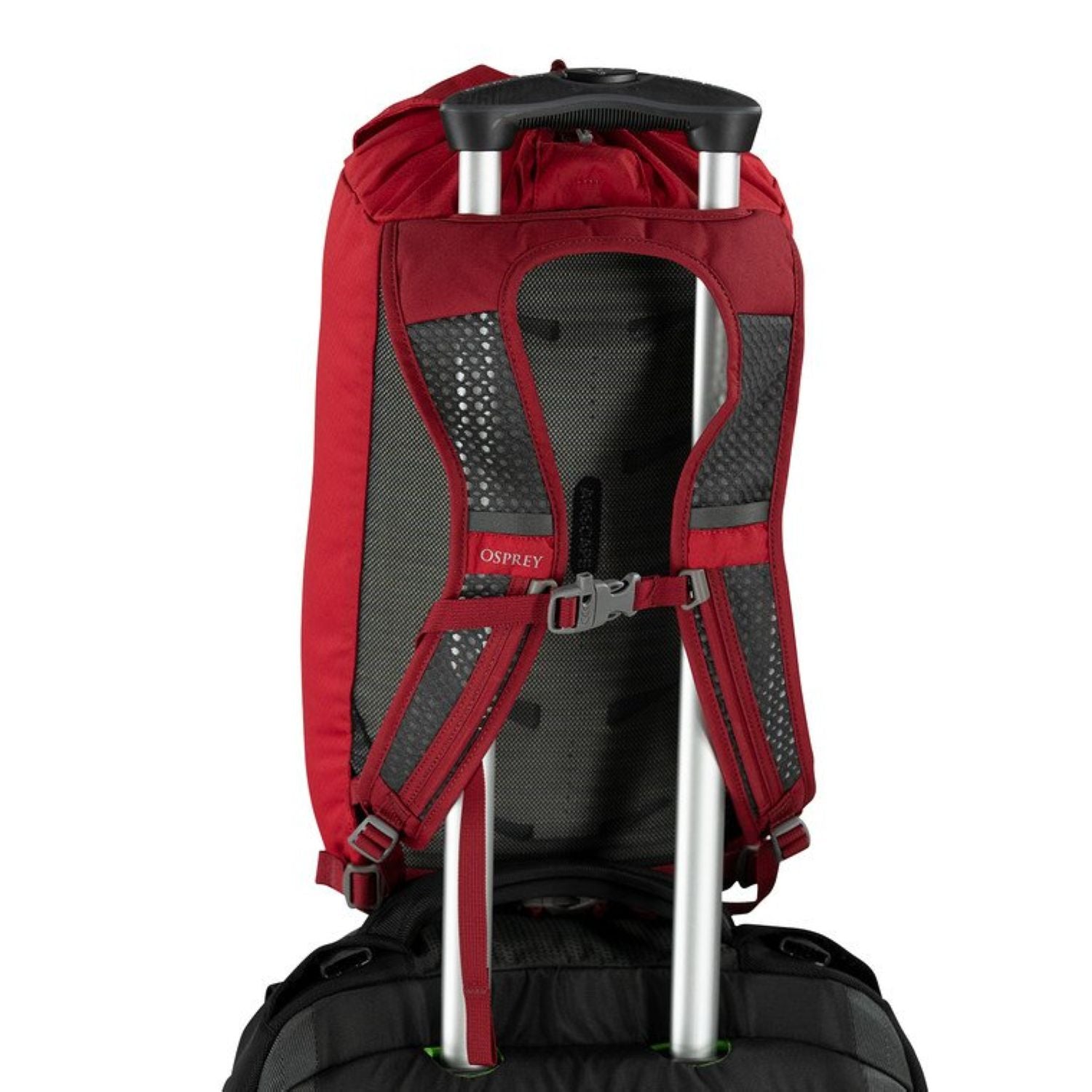 Osprey Daylite Cinch 15L Backpack - Everyday | Bags, Bags for Men, Bags for Women, Osprey, school20, Travel Backpacks, Travel Daypacks | Osprey-9