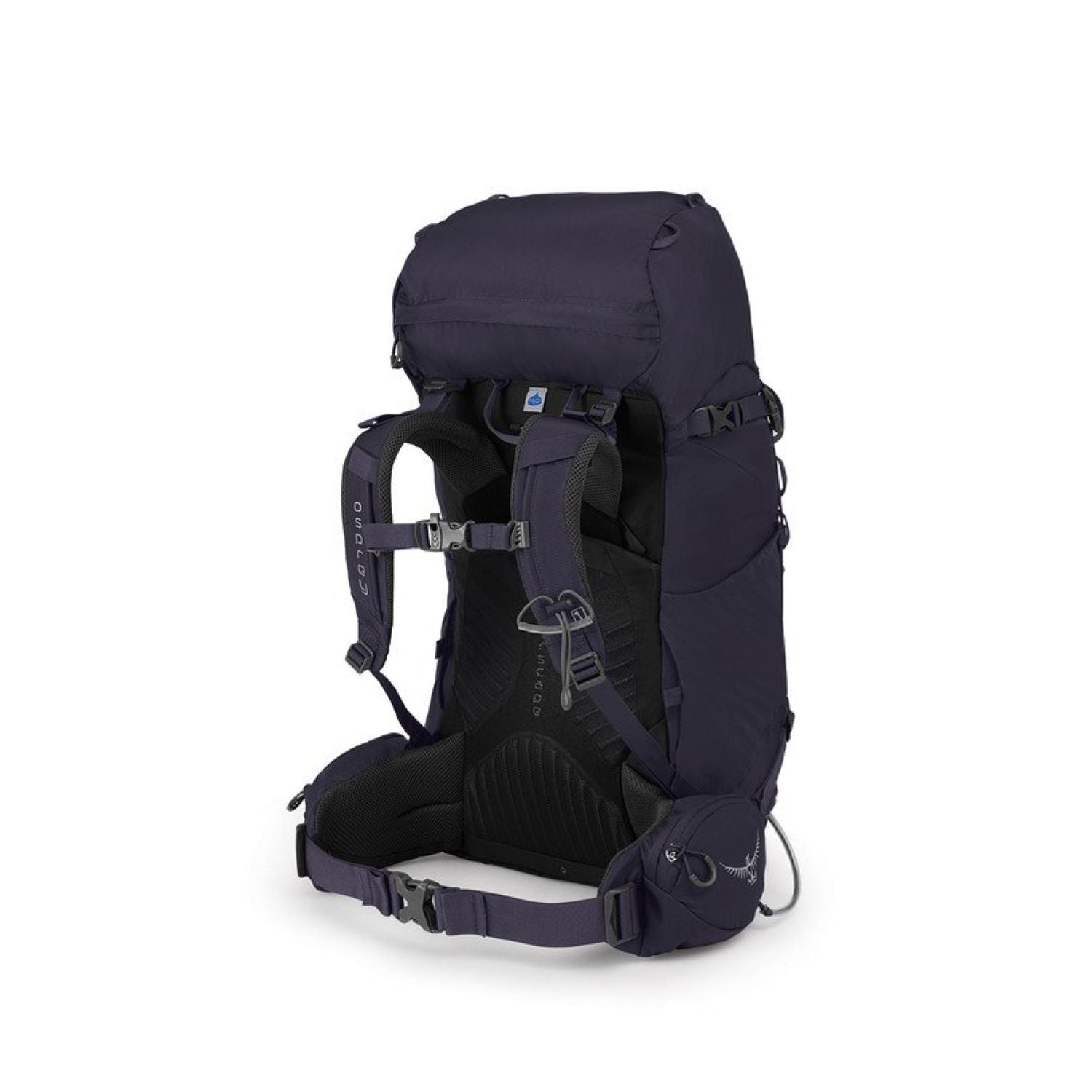 Osprey Kyte 36 Backpack - Extra Small/Small - Women's Backpacking - Day Hiking | Bags, Bags for Women, Hiking Backpacks, Osprey, SGTrek, SGTrek Osprey, Travel Backpacks | Osprey-2